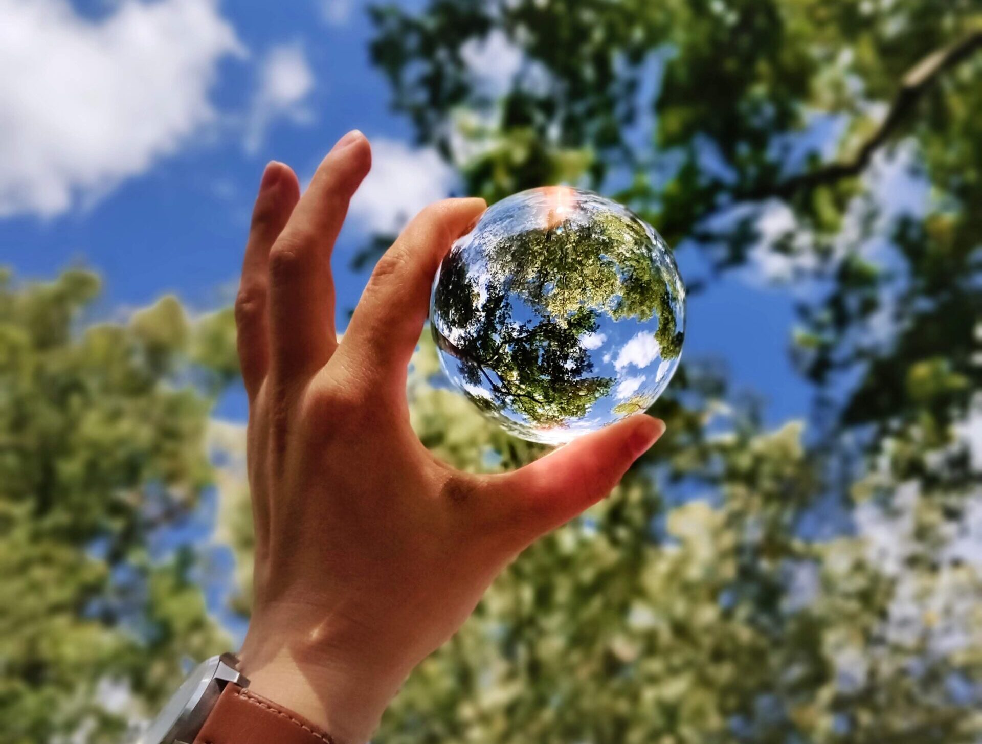 Op weg naar zero emissie